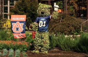 Auburn mascot